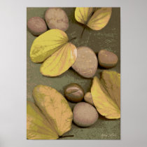 Pedras-016 Posters