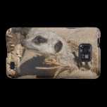 pee-a-boo meerkat casemate cases
