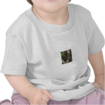 pee-ka-boo hide and seek leopard tee shirts