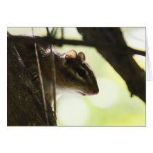 Peek-a-Boo Greeting Card