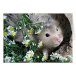 Peek a boo greeting card