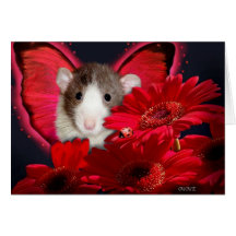 Peek-a-boo,I see you! Card
