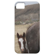 "Peek-a-Boo!" iPhone 5 Case