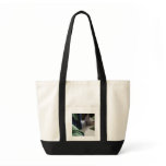 Peek-A-Boo Kitten Bag