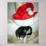Peekaboo Christmas kitten Print