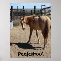 Peekaboo! Posters