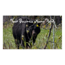 Peeking Bear; Promotional Business Card