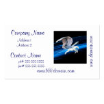 Pegasus Flight Business Cards
