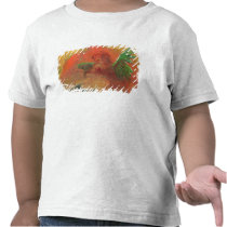 Pegasus Triumphant t-shirts
