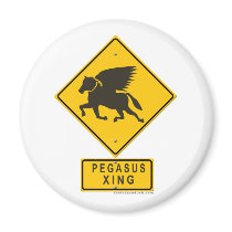Pegasus XING Magnets