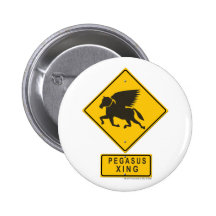 Pegasus XING Pinback Button