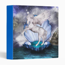 Pegasys Binder
