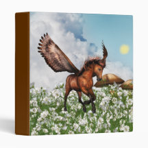 Pegasys in Field Binder