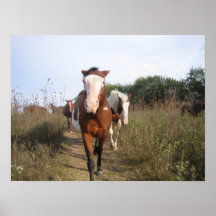 Peignez les chevaux II Posters