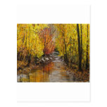 Peinture de chute cartes postales