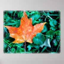Peinture de feuille d'automne posters