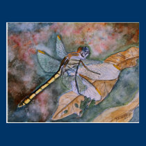 peinture de libellule cartes postales