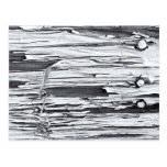 Peinture d'épluchage cartes postales