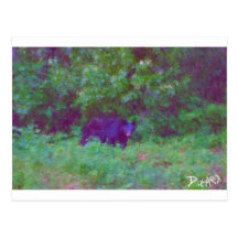 peinture d'ours par le cerf carte postale