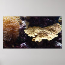 Peinture murale d'aquarium posters
