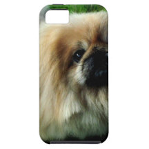 pekingese-15.jpg iPhone 5 cover