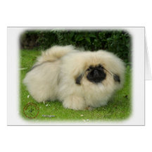 Pekingese 9W010D-014 Greeting Cards