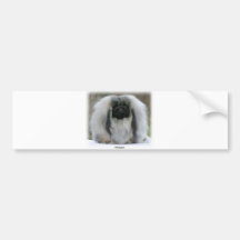 Pekingese 9Y111D-021 Bumper Stickers
