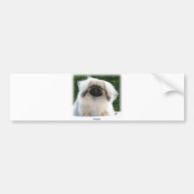 Pekingese Bumper Sticker