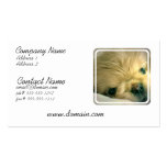 Pekingese Dog Business Card