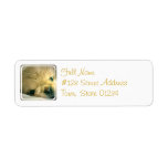 Pekingese Dog Mailing Label