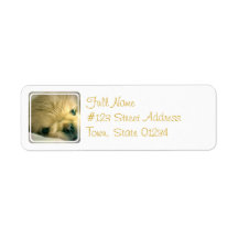 Pekingese Dog Mailing Label