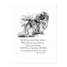 Pekingese Dog Rainbow Bridge Postcard