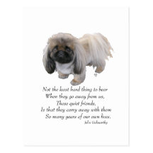 Pekingese Dog Rainbow Bridge Postcard