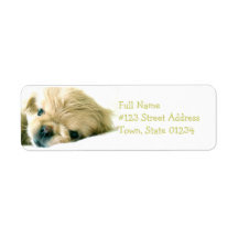 Pekingese Dog Return Address Label