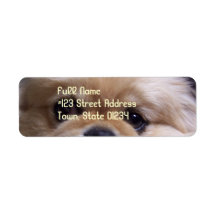 Pekingese Dog Return Address Label