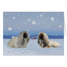 Pekingese in Winter Card