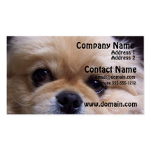 Pekingese Puppies Business Card