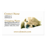 Pekingese Puppy Dog Business Card