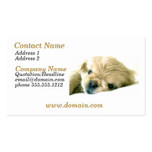 Pekingese Puppy Dog Business Card