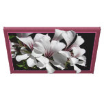 Pelargonium canvas prints