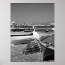 Pelican and Boats II (Black and White) Posters