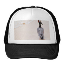 Pelican at the beach hat
