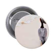 Pelican at the beach pin