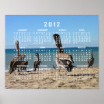 Pelican Beach Bums; 2012 Calendar Posters