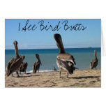 Pelican Beach Bums Greeting Cards