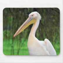 Pelican Beauty Mousepads