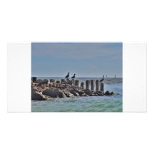 Pelican Brief Customized Photo Card