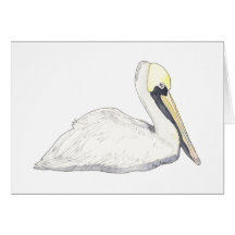 Pelican Cards