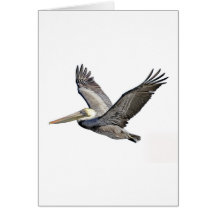 Pelican Clear Greeting Cards