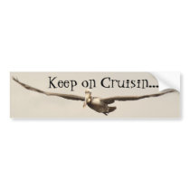 Pelican Cruising Bumper Sticker